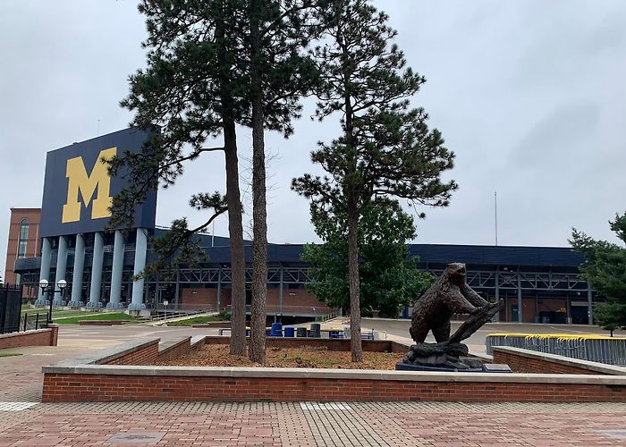 Michigan Stadium photo
