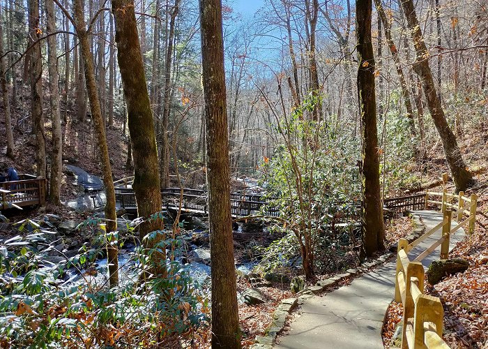 Anna Ruby Falls photo