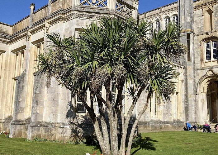 Highcliffe Castle photo