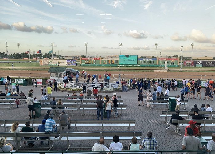 Sam Houston Race Park photo