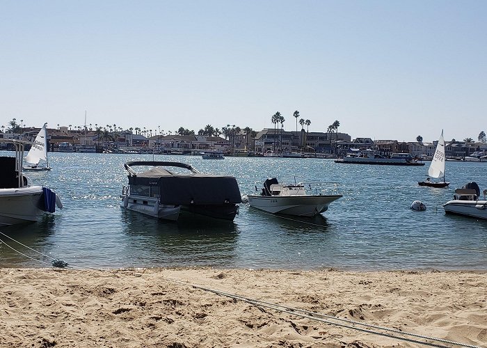 Balboa Island Ferry photo