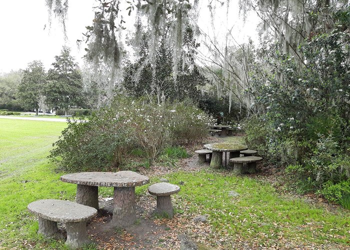 Magnolia Plantation and Gardens photo