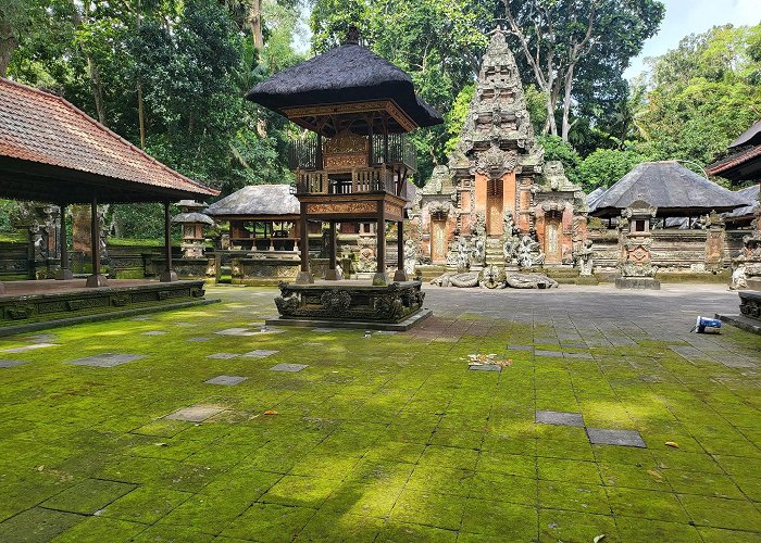 Ubud Monkey Forest photo