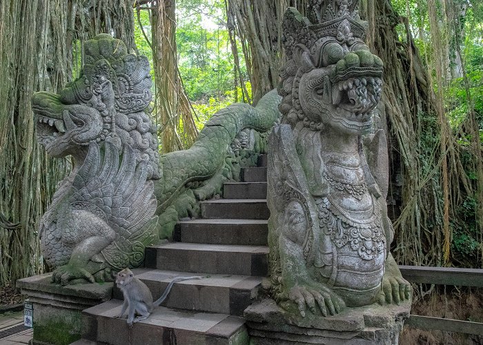 Ubud Monkey Forest photo