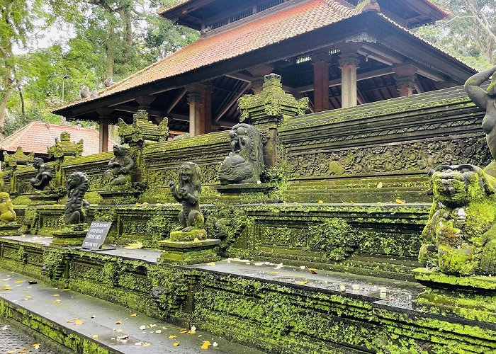 Ubud Monkey Forest photo