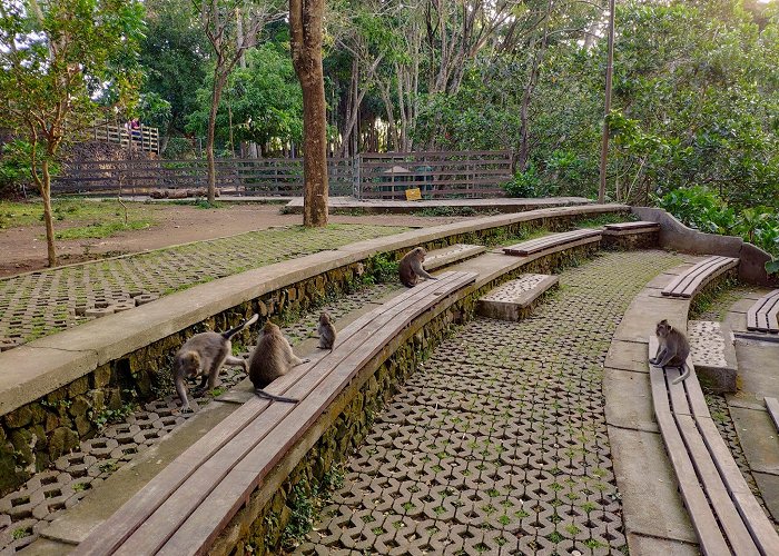 Ubud Monkey Forest photo