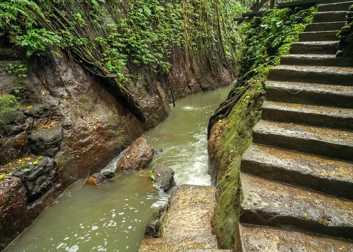 Ubud Monkey Forest photo