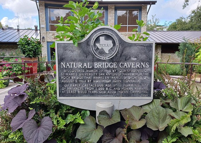 Natural Bridge Caverns photo