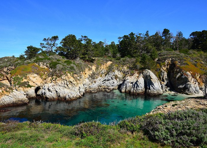 Point Lobos State Natural Reserve photo