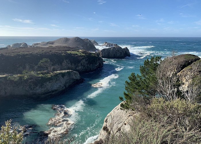 Point Lobos State Natural Reserve photo