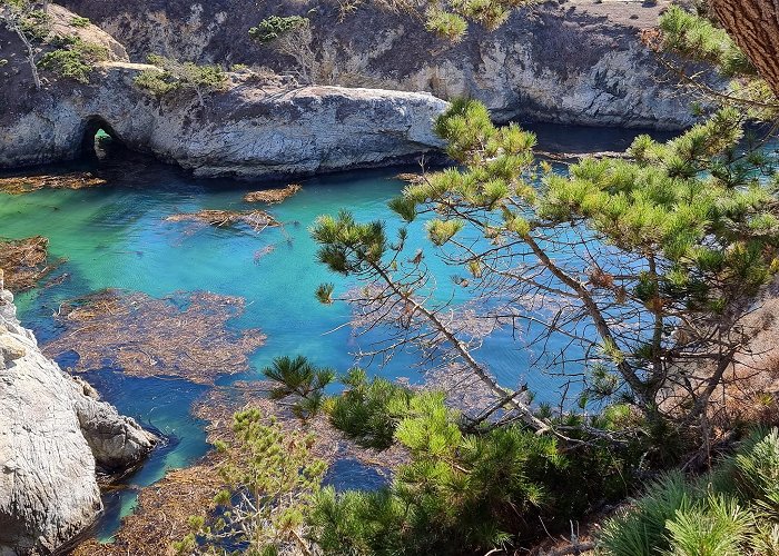 Point Lobos State Natural Reserve photo