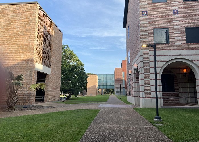 Rice University photo