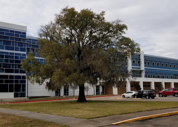 San Jacinto College North Campus photo