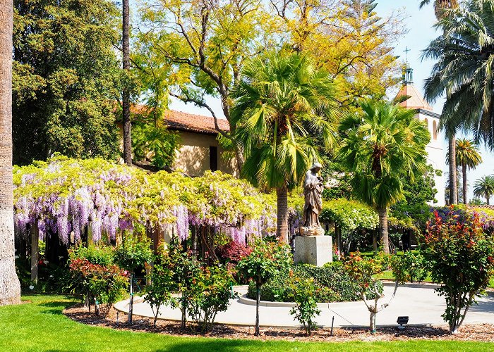 Santa Clara University photo