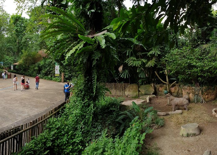 Singapore Zoo photo