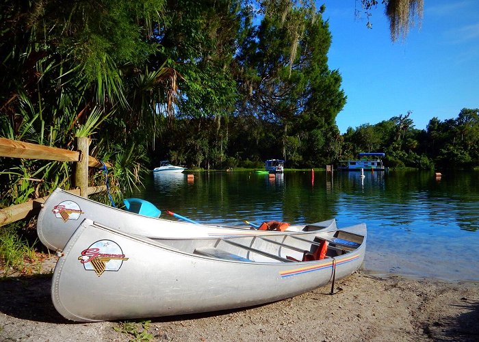 Silver Glen Springs Recreation Area photo