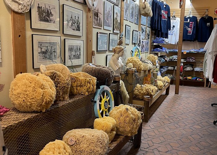 Tarpon Springs Sponge Docks photo