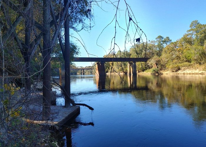 Suwannee River State Park photo