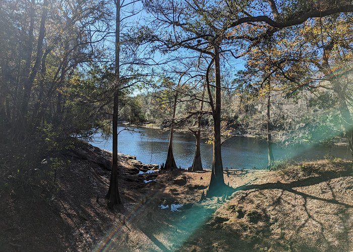 Suwannee River State Park photo