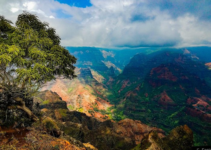 Waimea Canyon photo