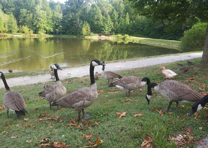 Waverly Park photo