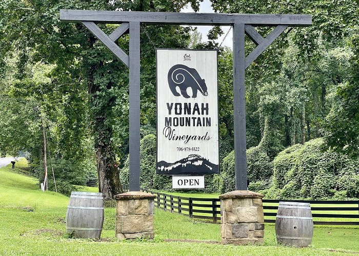 Yonah Mountain Vineyards photo
