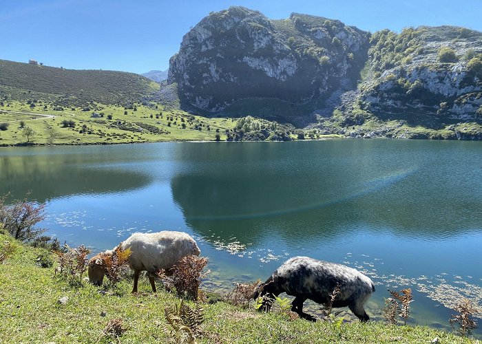 Lakes of Covadonga photo