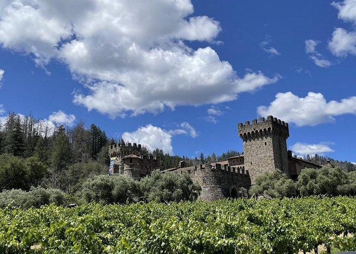 Castello di Amorosa photo