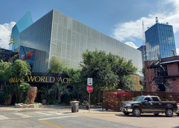 Dallas World Aquarium photo