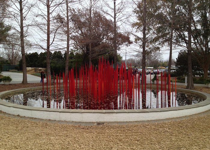 Dallas Arboretum and Botanical Garden photo