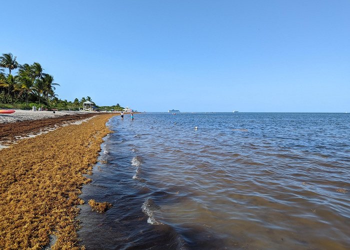 Crandon Park photo