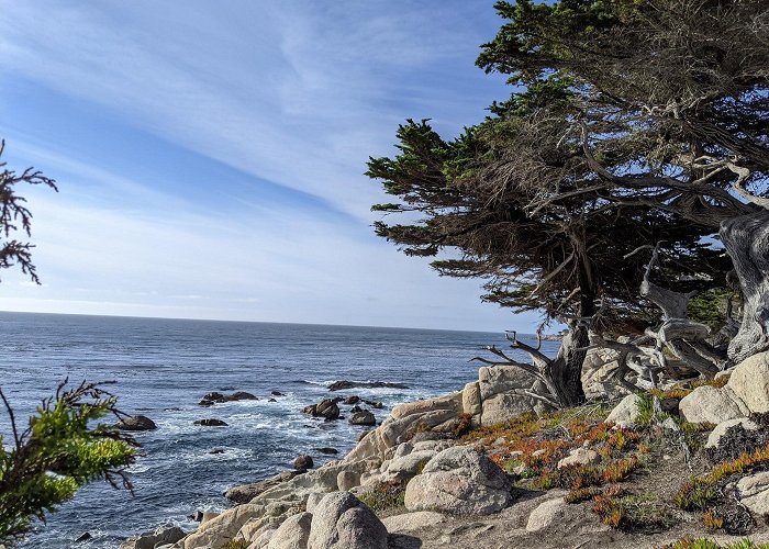 17-Mile Drive photo