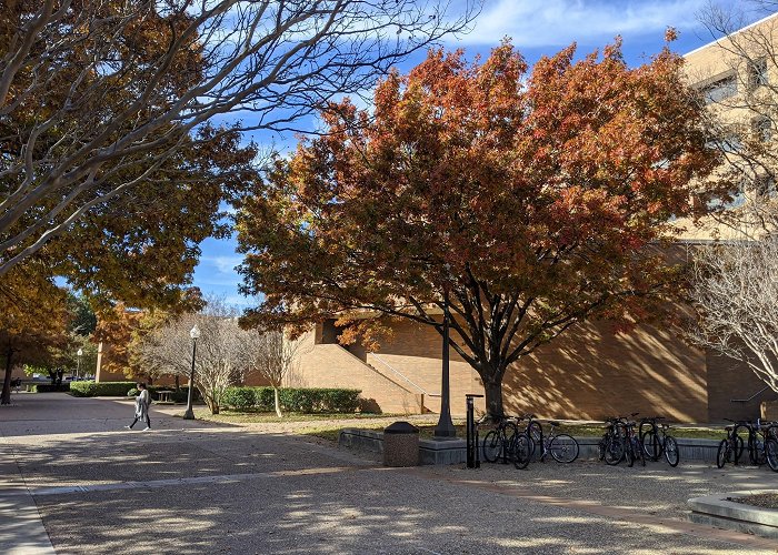 The University of Texas at Arlington photo