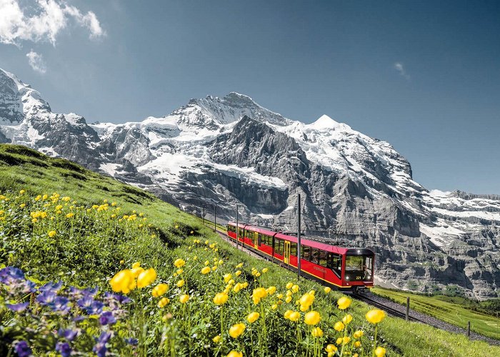 Jungfrau Experience the adventure of a trip to the Jungfraujoch photo