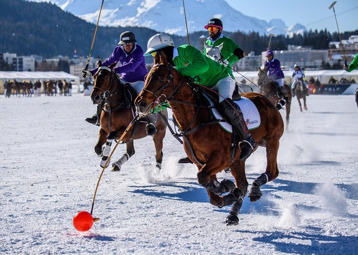 St. Moritz Snow Polo St. Moritz: 40th Snow Polo World Cup St. Moritz 2025 photo