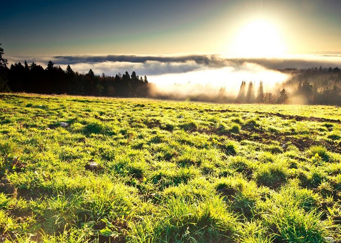 La Garenne The Parc Jura Vaudois in La Côte | La Côte - Tourism photo