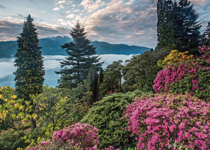 Botanical Garden Parco San Grato San Grato Park | Switzerland Tourism photo