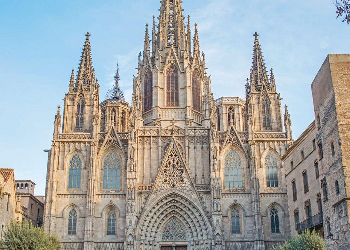 Catedral de Barcelona Museu de la Catedral (Barcelona) - Visitor Information & Reviews photo