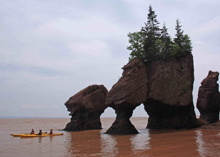 Hopewell Rocks Park Visit Hopewell Cape: 2024 Travel Guide for Hopewell Cape, New ... photo