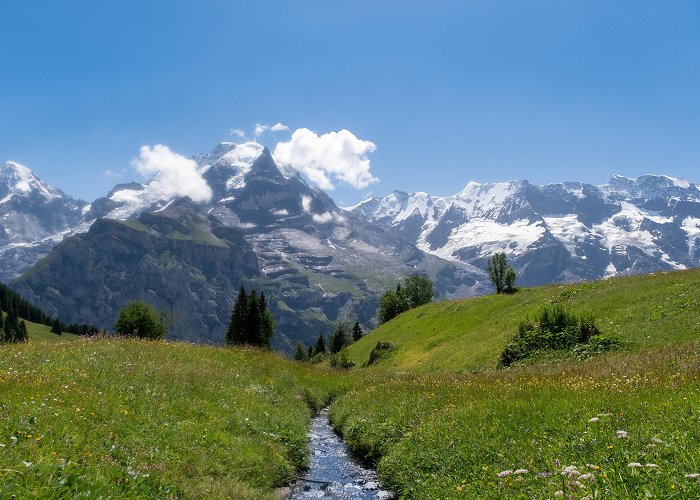 Allmendhubelbahn Switzerland is a dream [OC] [5200x4160] : r/EarthPorn photo