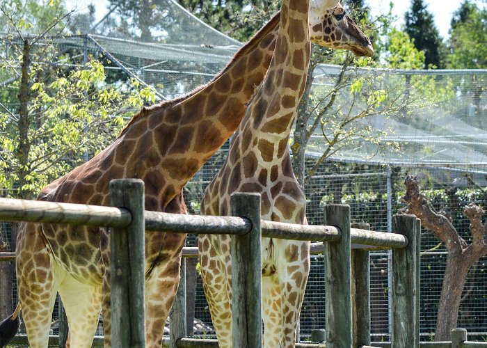 Parco Zoo Punta Verde Parco Zoo Punta Verde, *** #photos by Zulma *** , 04/10/14 ... photo