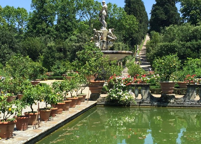 Boboli Garden Il Giardino di Boboli, Florence – The Frustrated Gardener photo