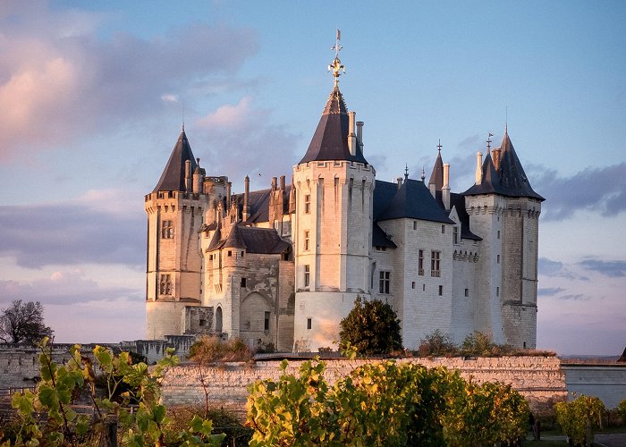 Saumur Castle Château de Saumur - Association "Châteaux de la Loire" photo