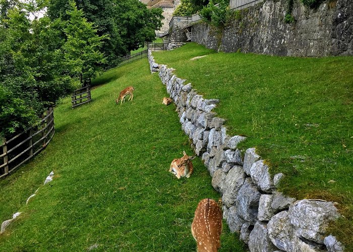 Knie's Kinderzoo Rapperswil Castle Tours - Book Now | Expedia photo