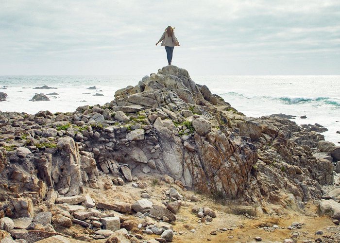 17-Mile Drive 17-Mile Drive at Pebble Beach (Carmel-by-the-Sea, CA) — Flying ... photo