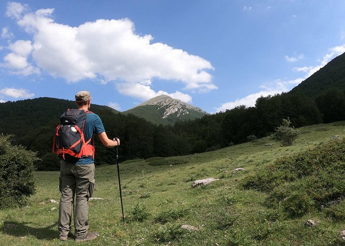 Pollino National Park Trekking Pollino National Park | Book or gift online | Freedome photo