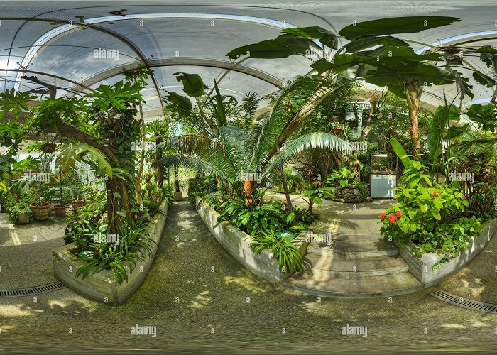 Collodi Butterfly House 360° view of Butterfly House In Collodi - Alamy photo