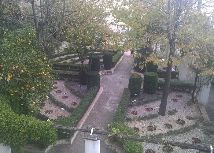 The Garden of Minerva Salerno's Minerva Garden: a hidden trove of therapeutic treasures ... photo