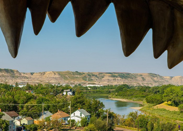 World's Largest Dinosaur World's Largest Dinosaur Tours - Book Now | Expedia photo