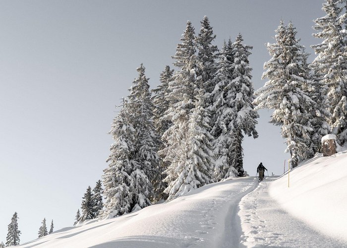 Rellerli Schönried – Rellerli (1833 M.a.s.l) - BERGFEX - Ski tour - Tour ... photo